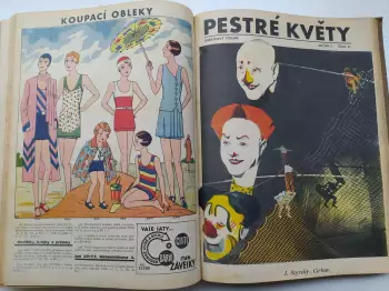 Název obrázku