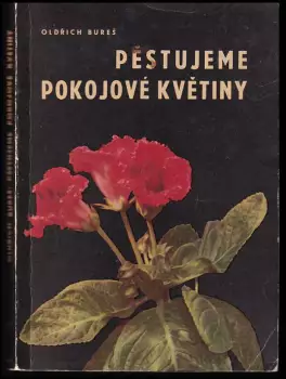 Obrázek varianty