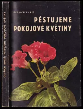 Obrázek varianty