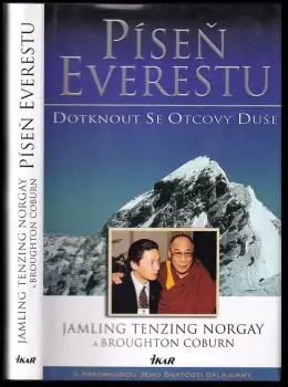 Obrázek varianty