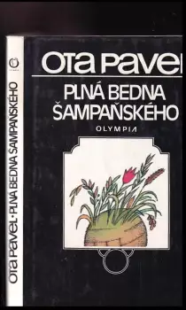 Název obrázku