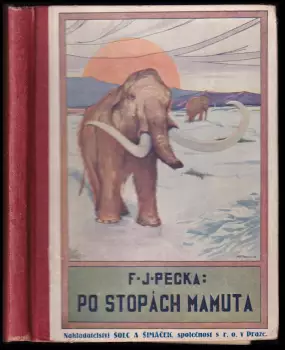 Název obrázku