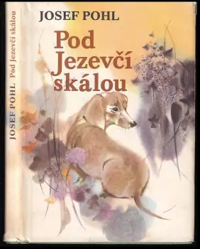 Název obrázku