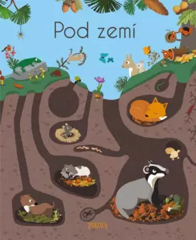 Název varianty