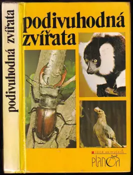 Název obrázku