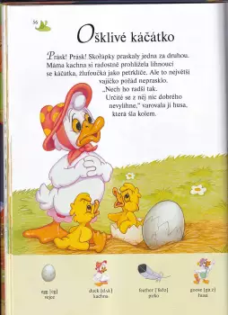 Název obrázku