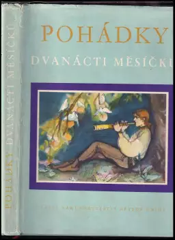 Název varianty