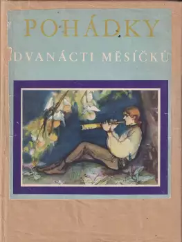 Název varianty