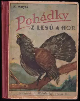 Název obrázku