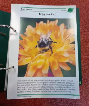 Název obrázku