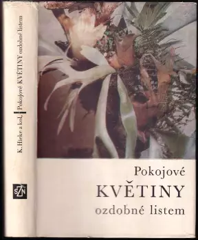 Název varianty