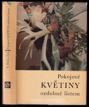 Název varianty