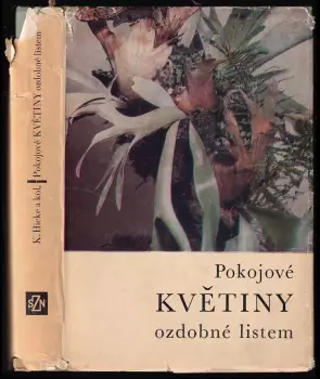 Název varianty