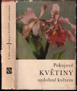 Název varianty