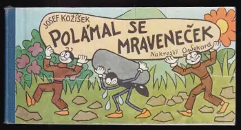 Název varianty