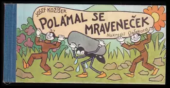 Název varianty