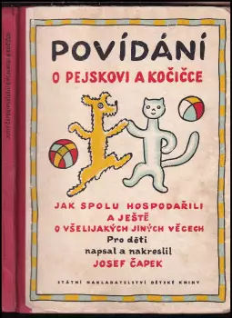 Název obrázku