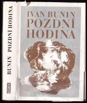 Název varianty