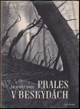 Název obrázku