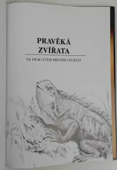 Název obrázku