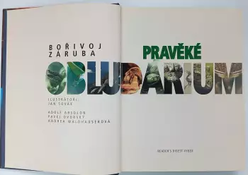 Název obrázku