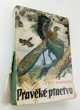Název obrázku