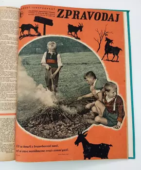 Název obrázku