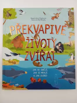 Název varianty