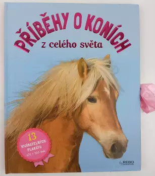 Název obrázku