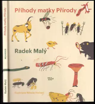 Název varianty