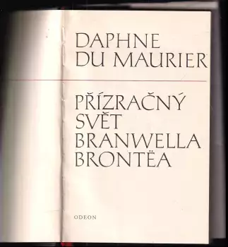 Název obrázku