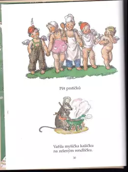 Název obrázku