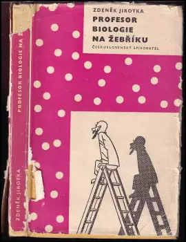 Název obrázku