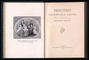 Název obrázku