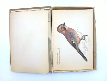 Název obrázku