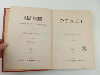 Název obrázku