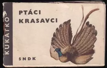 Název obrázku