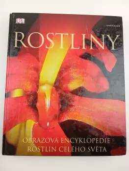 Název varianty