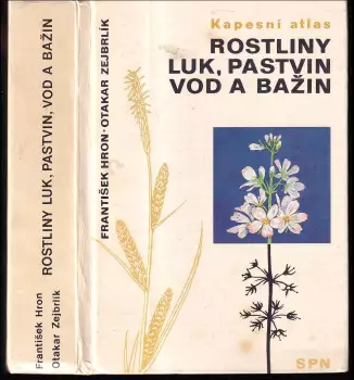 Název varianty