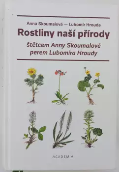 Název obrázku