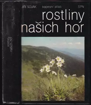 Název varianty