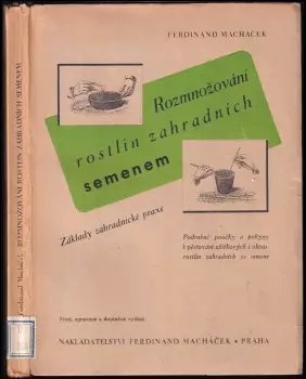 Název varianty