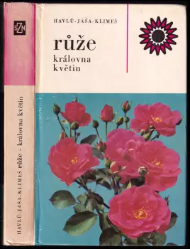 Název varianty