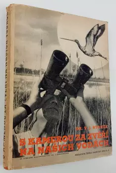 Název obrázku