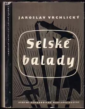 Název varianty