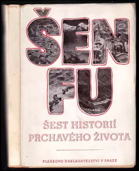 Název varianty