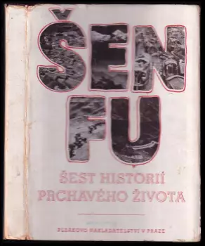 Název varianty