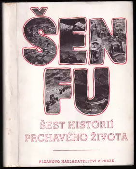 Název varianty