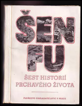 Název varianty