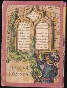 Název obrázku